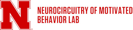 Image of the nmb-lab lockup logo