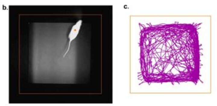 An image of a tracking study